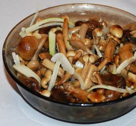 Заготовка грибов на зиму: домашние рецепты Маринование грибов в домашних условиях на зиму
