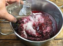 Trajanje fermentacije na pulpi - proizvodnja vina po crnoj metodi