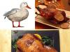 Pečena patka (korak po korak recept sa fotografijama)
