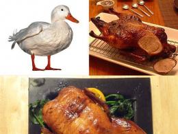 اردک کباب (دستور پخت مرحله به مرحله با عکس)