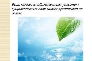 Un nuovo problema globale dell'umanità: la mancanza di acqua potabile pulita La conservazione dell'acqua è un problema umano globale