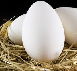 ¿Es posible comer huevos de gallina?
