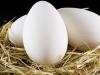 ¿Es posible comer huevos de gallina?