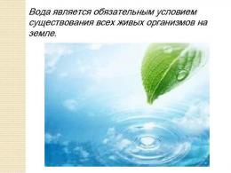 Нов глобален проблем на човечеството: липсата на чиста питейна вода Опазването на водата е глобален човешки проблем